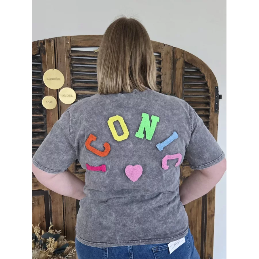 T-shirt ICONIC gris used