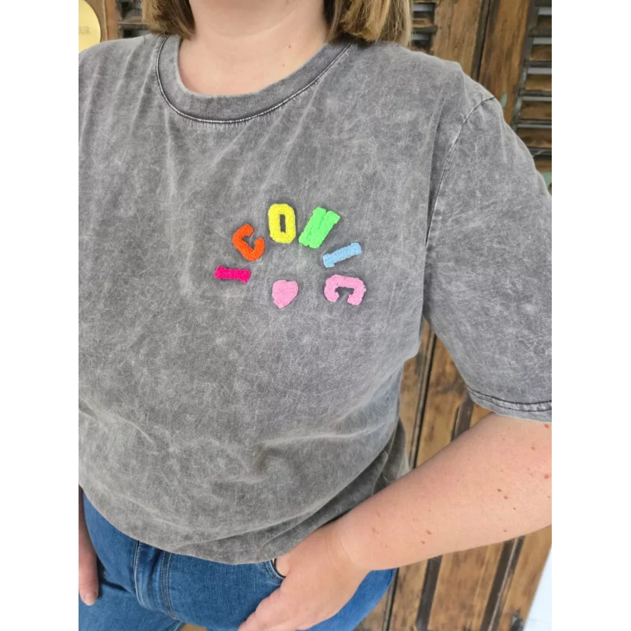 T-shirt ICONIC gris used