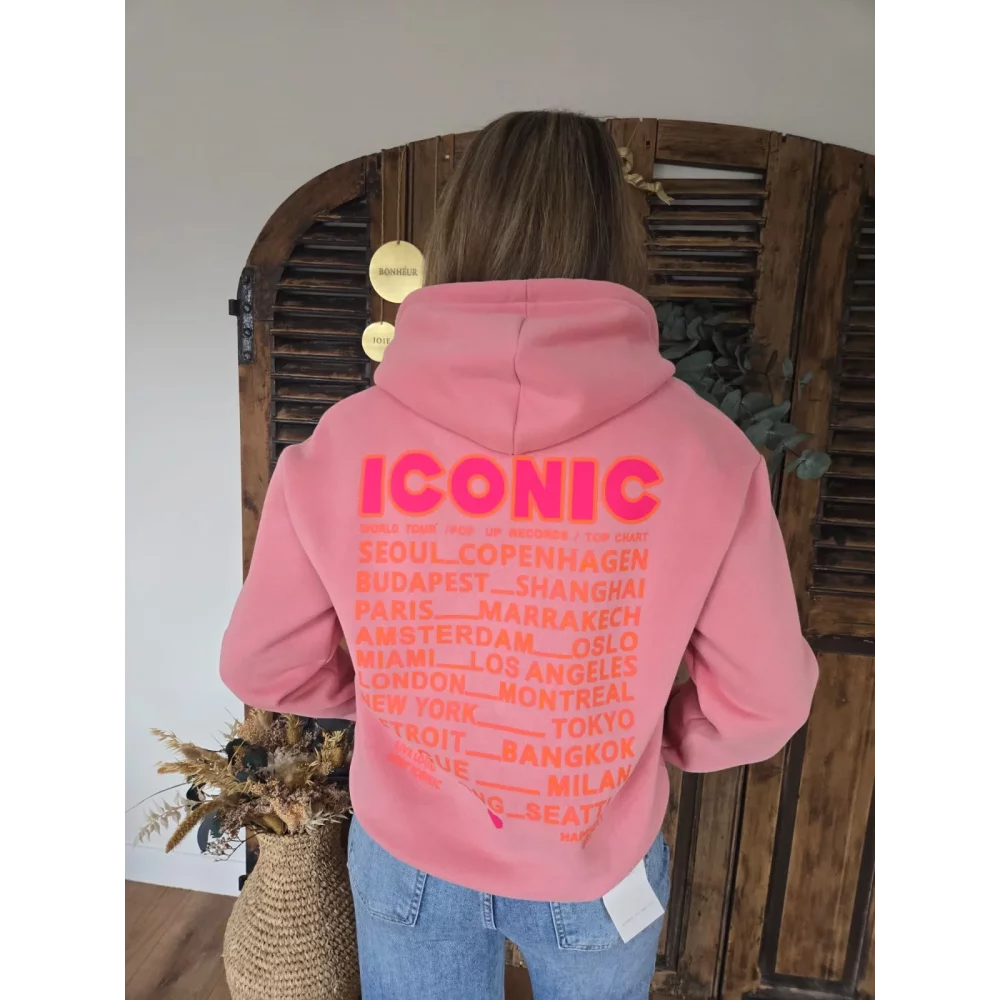 Sweat à capuche Iconic vieux rose