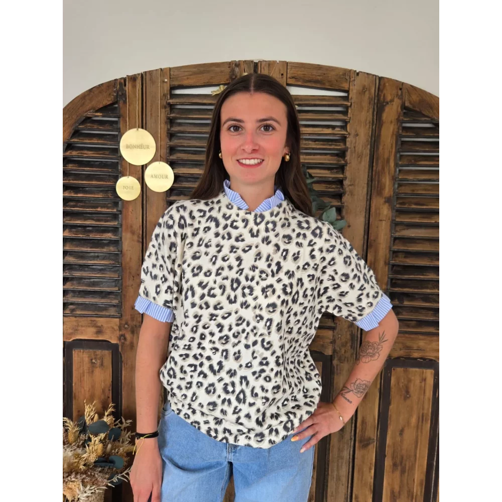 Pull Franck maille leopard et biais rayé ciel