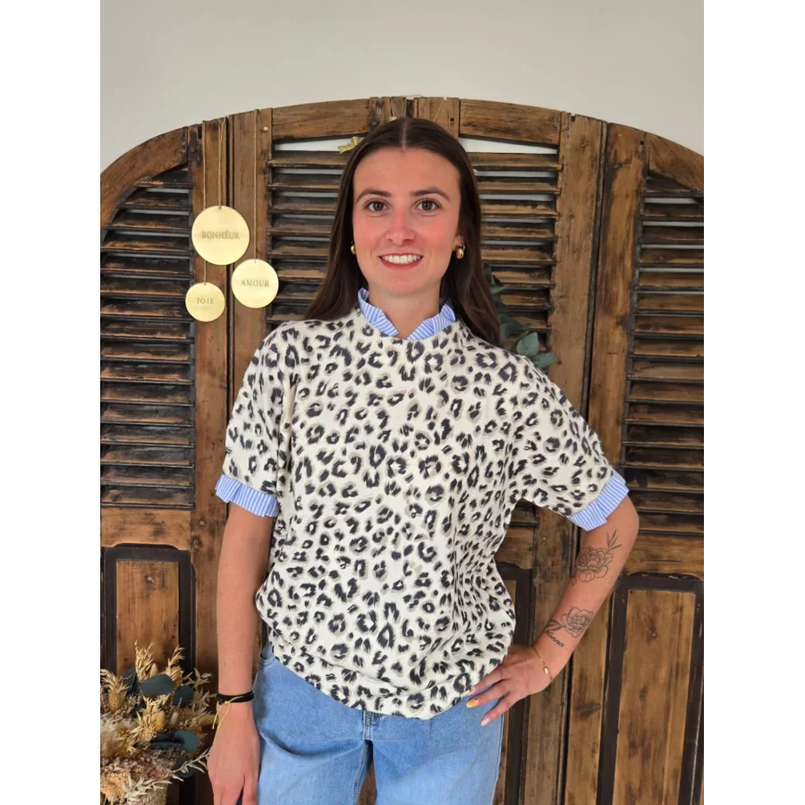 Pull Franck maille leopard et biais rayé ciel