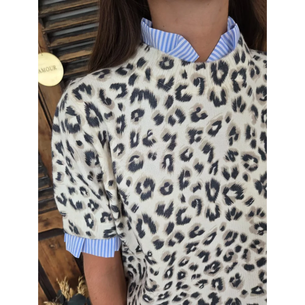 Pull Franck maille leopard et biais rayé ciel