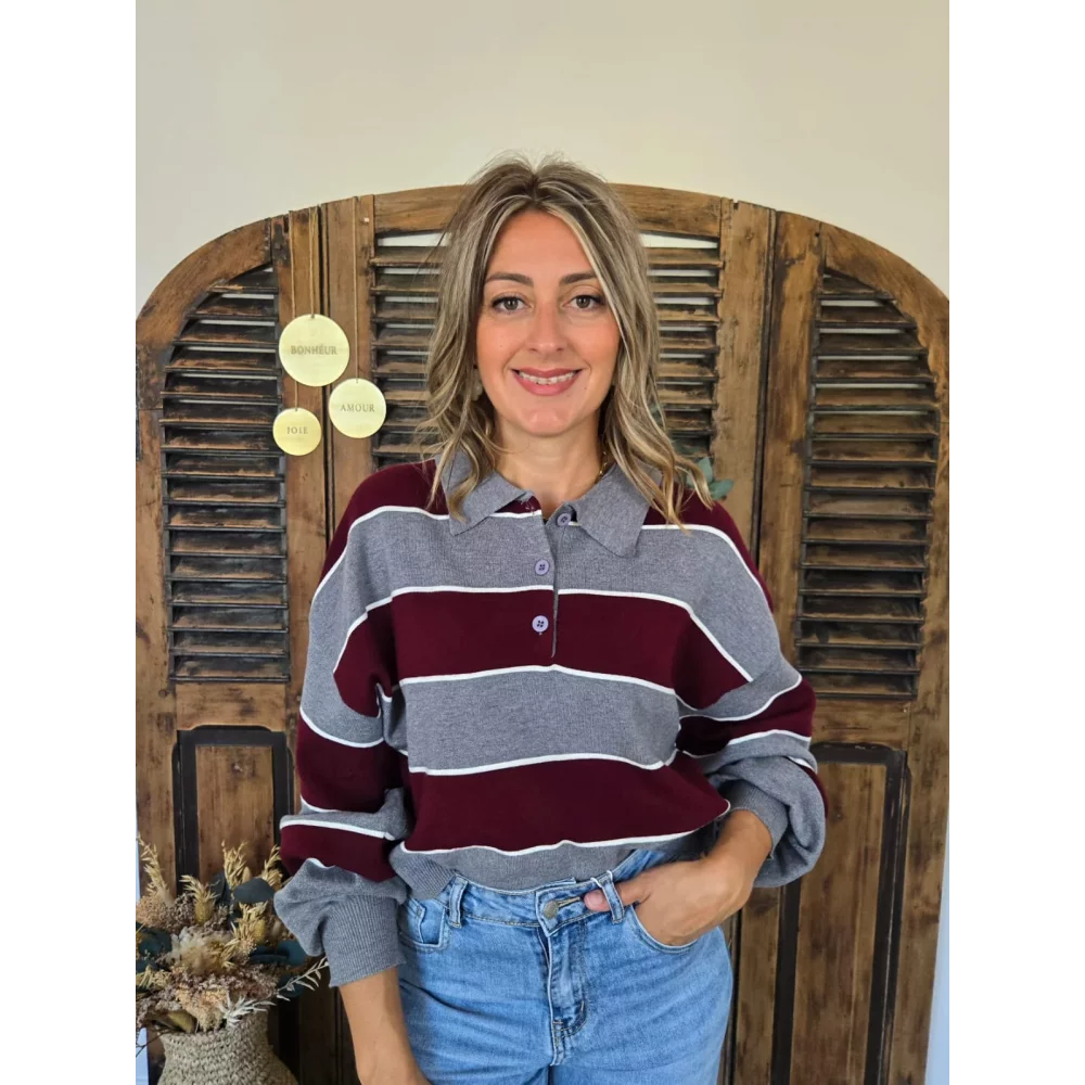 Pull polo Nestor gris et bordeaux