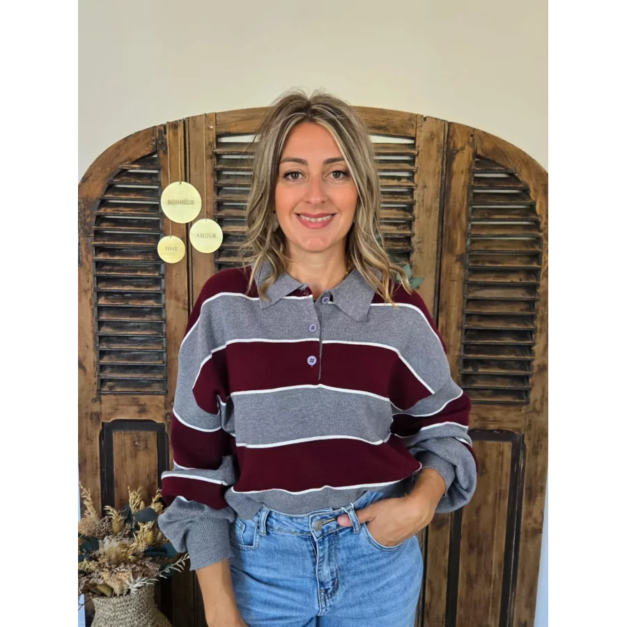 Pull polo Nestor gris et bordeaux