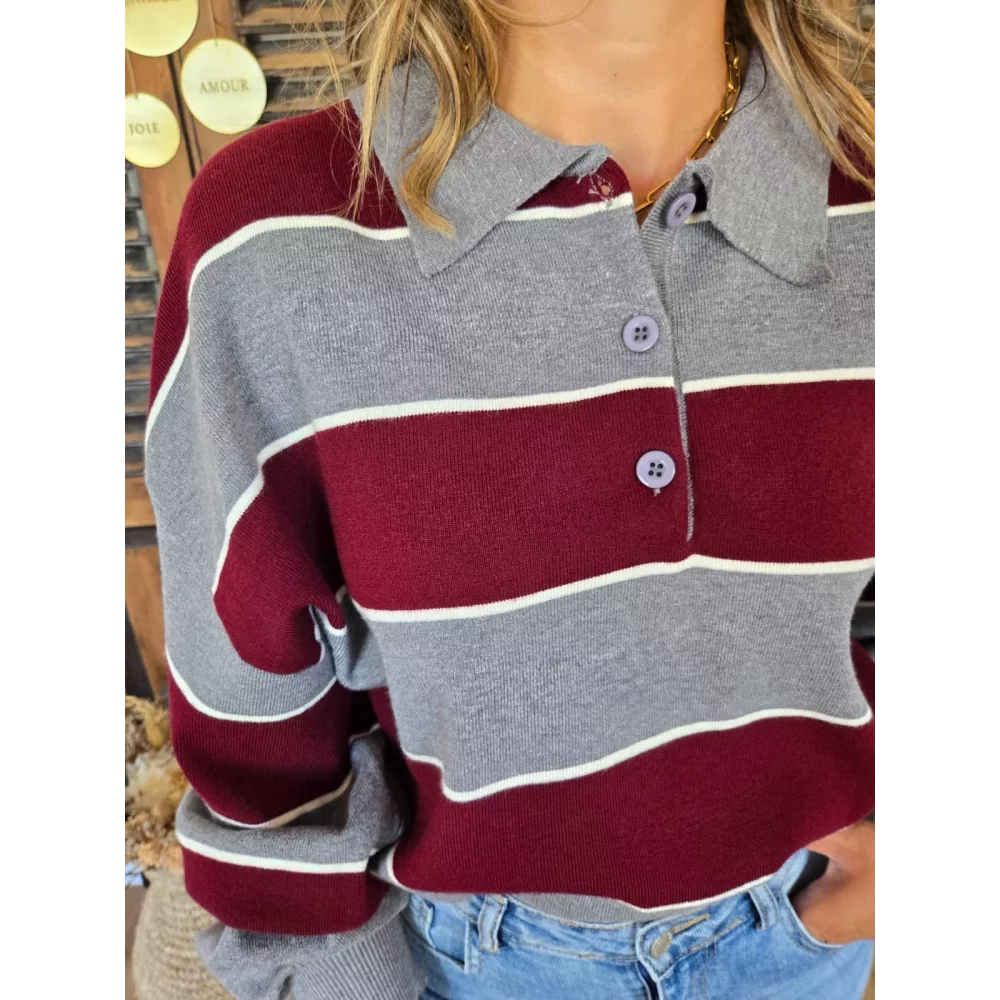 Pull polo Nestor gris et bordeaux