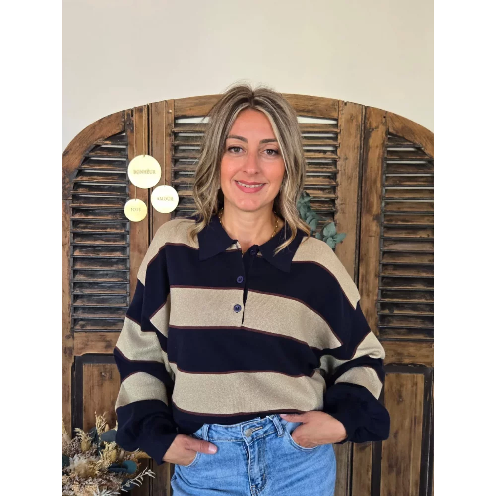 Pull polo Nestor marine et taupe
