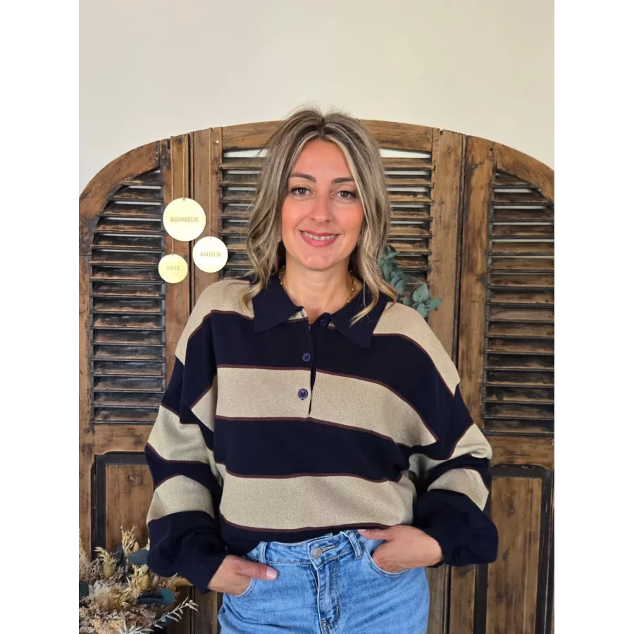 Pull polo Nestor marine et taupe