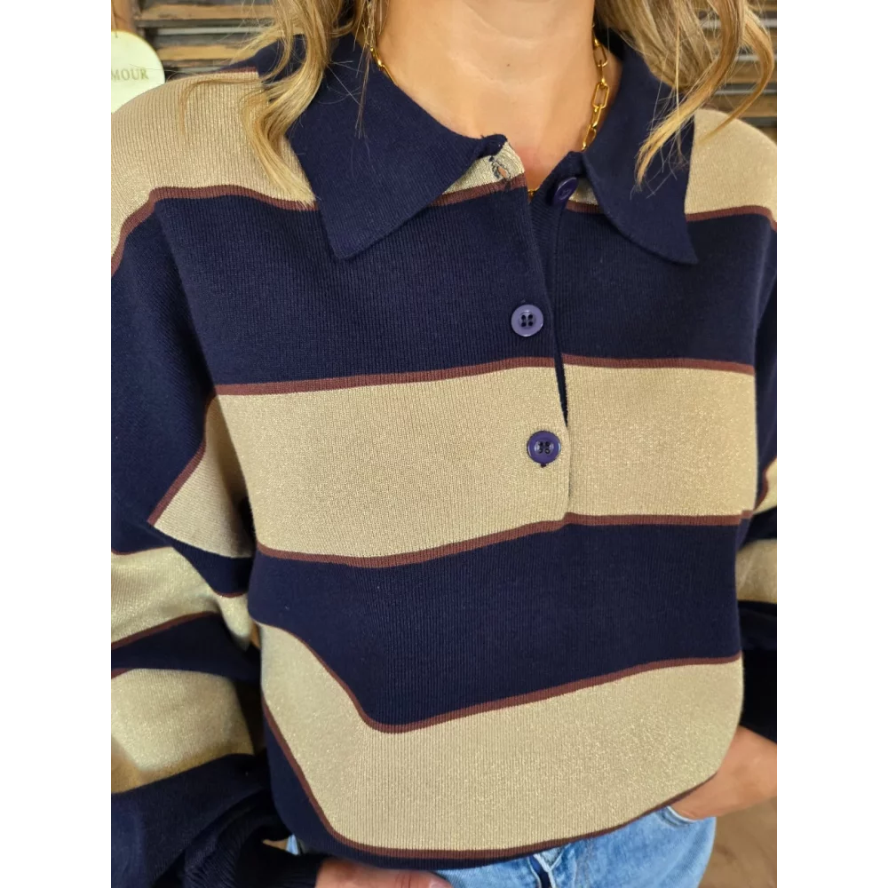Pull polo Nestor marine et taupe
