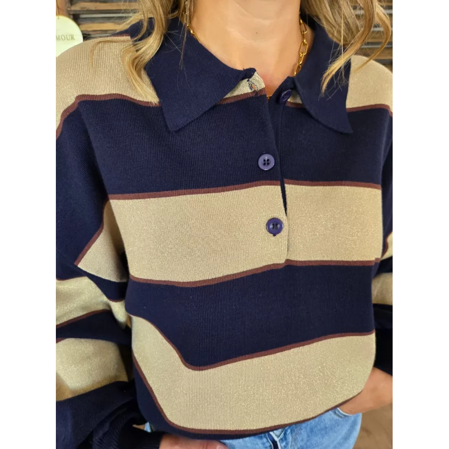Pull polo Nestor marine et taupe