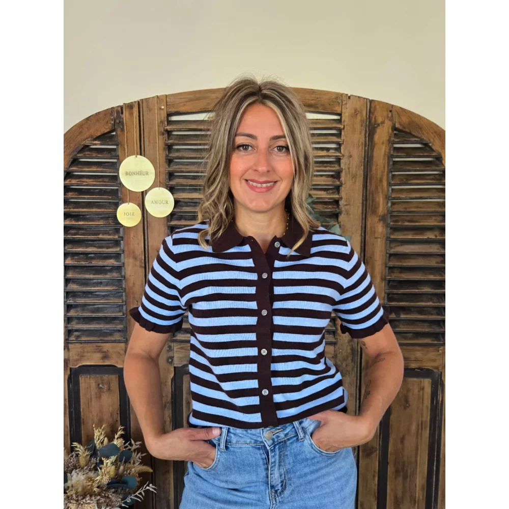 Pull cardigan Michel marron et ciel