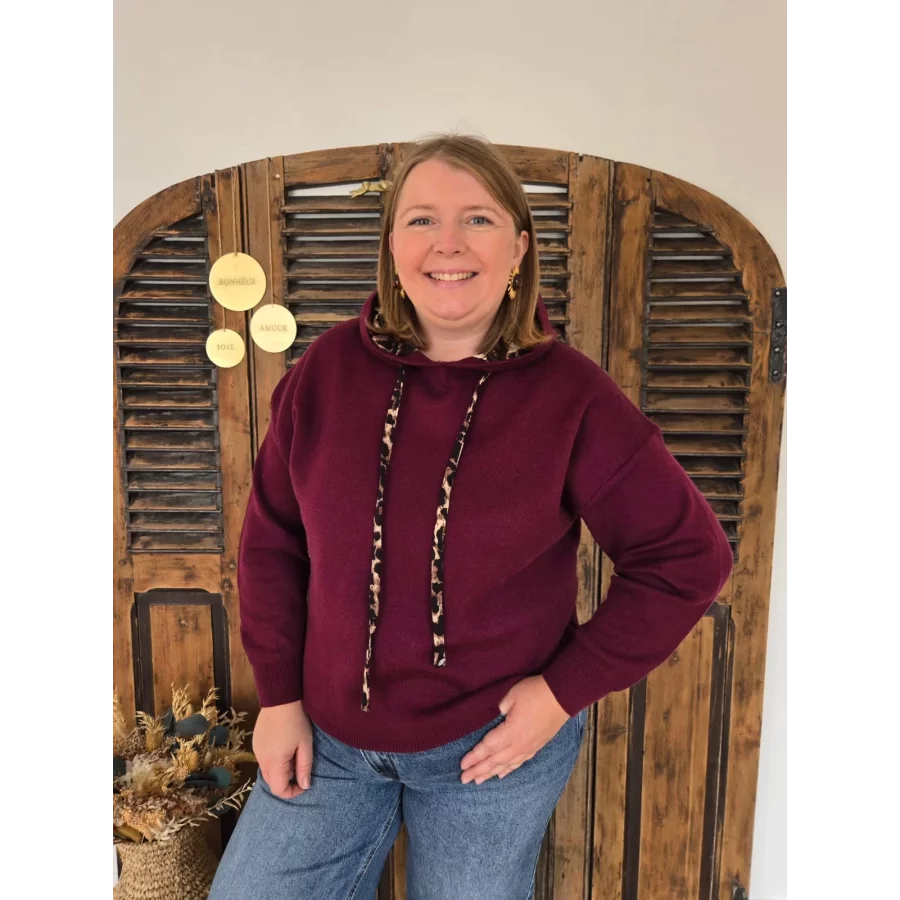Pull Pierre maille bordeaux et leopard