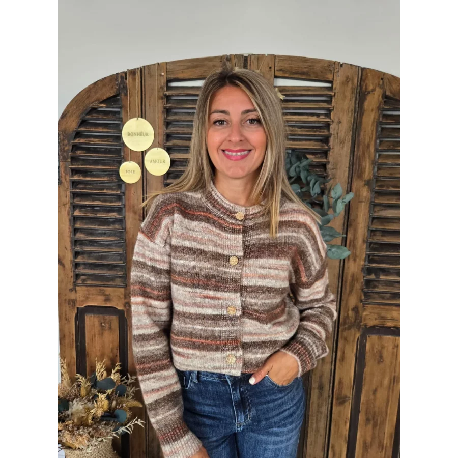 Gilet Pierrick rayé beige et choco
