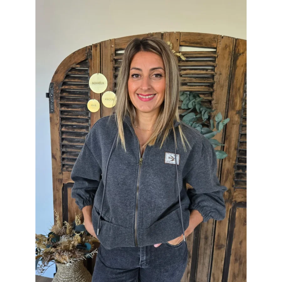Veste sweat Claude gris