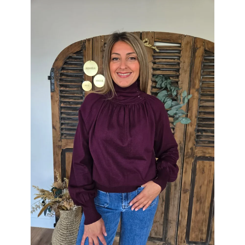 Pull Florian bordeaux