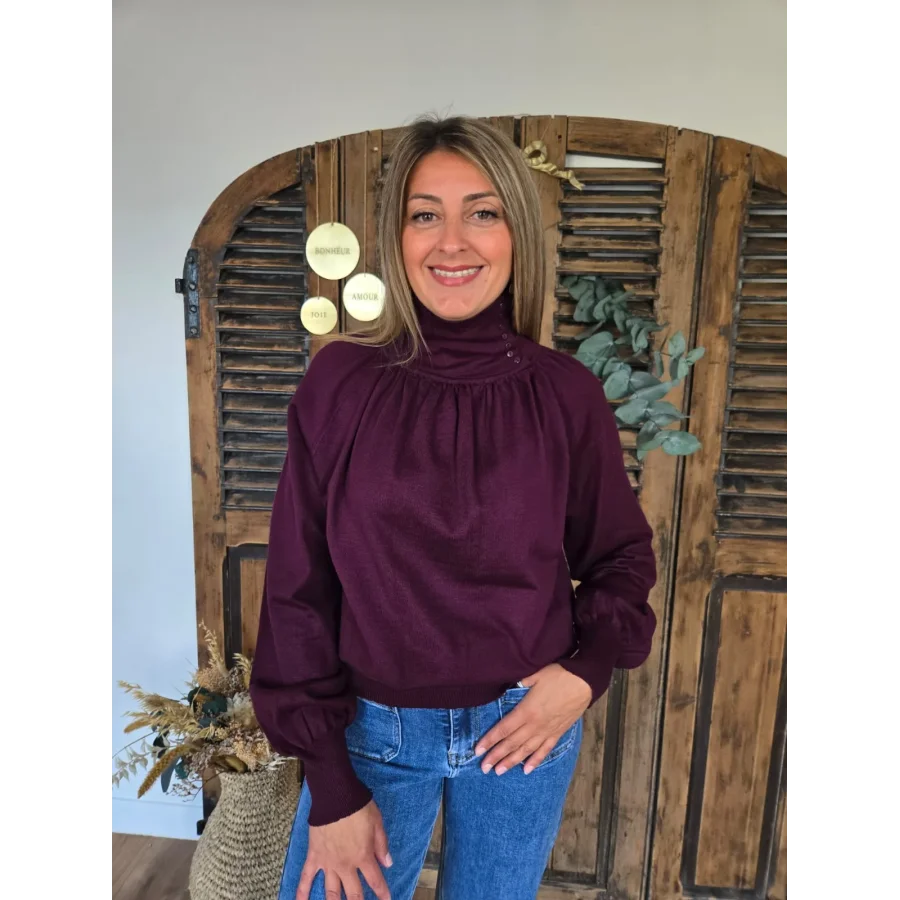 Pull Florian bordeaux