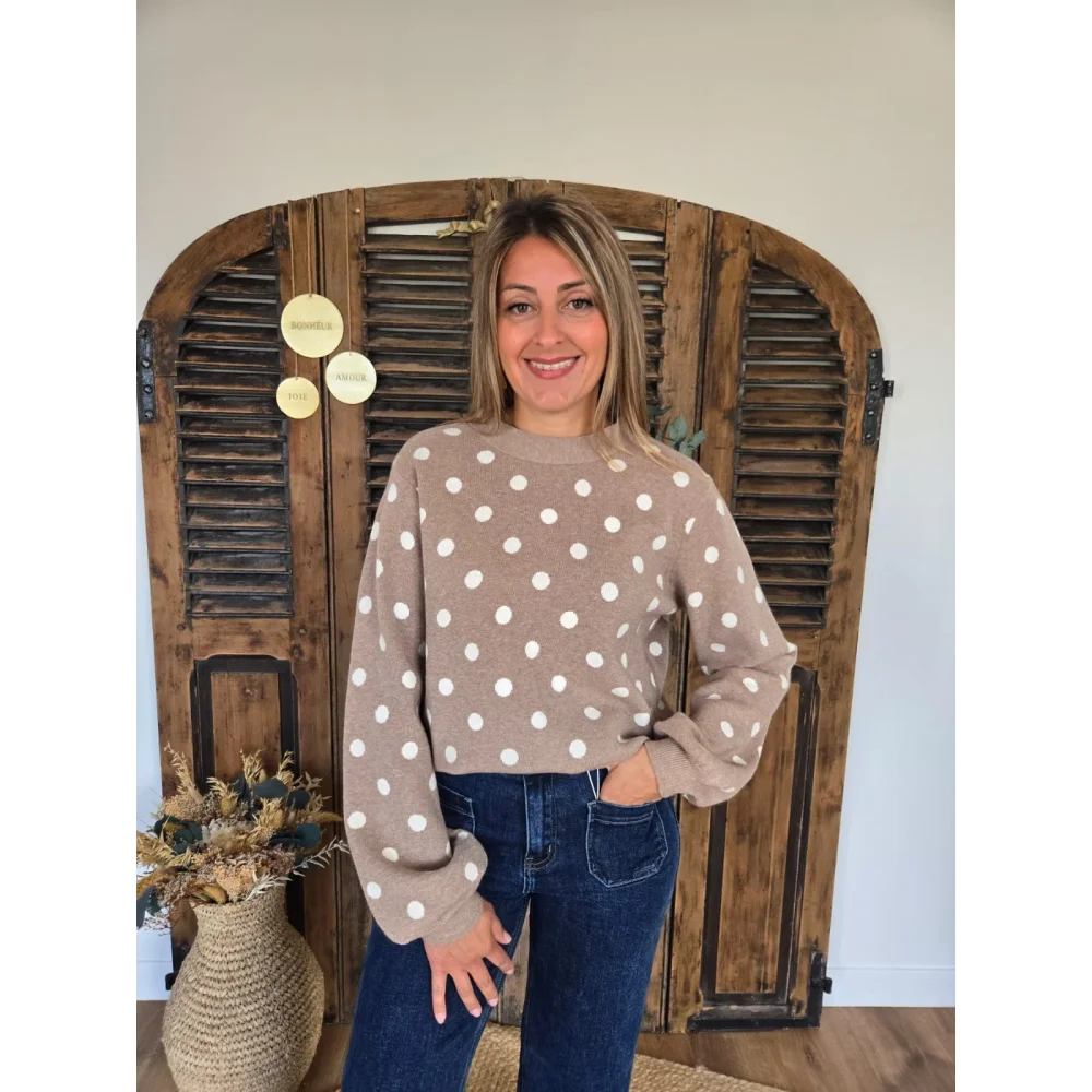 Pull Daniel taupe à pois