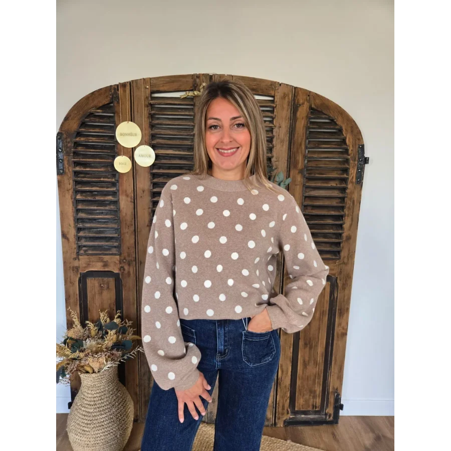 Pull Daniel taupe à pois