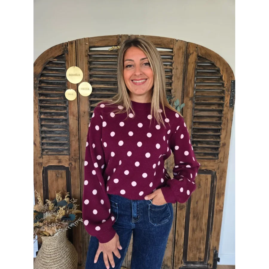 Pull Daniel bordeaux à pois