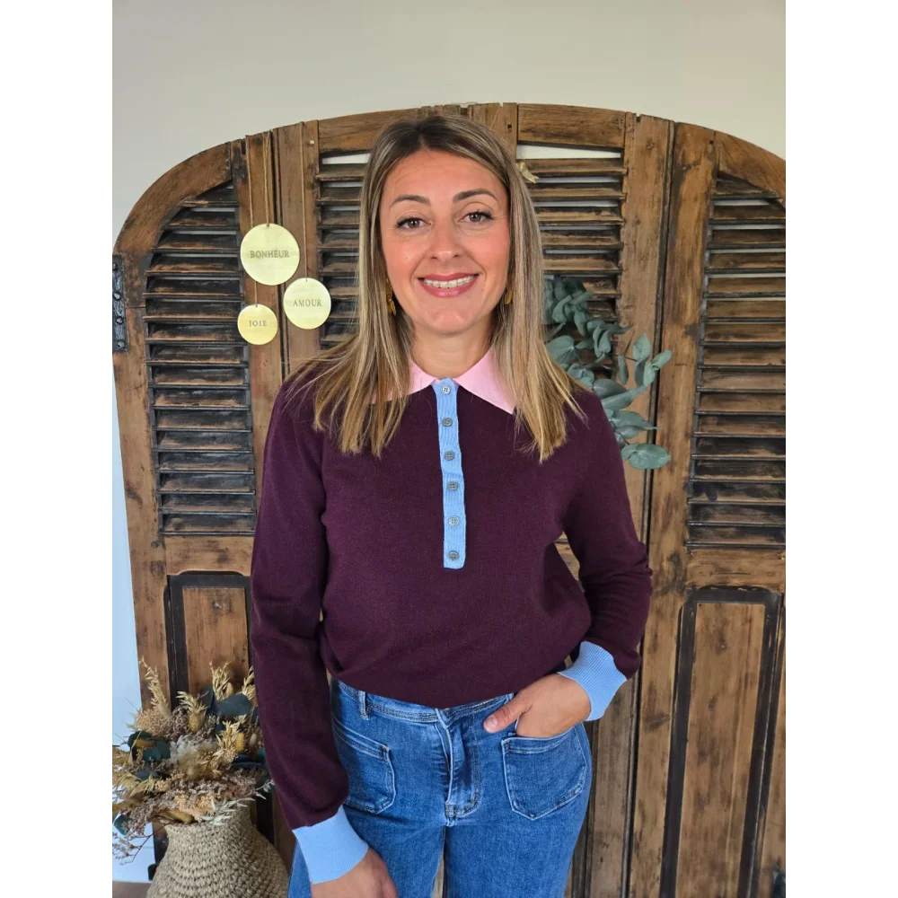 Pull Denis bordeaux col polo