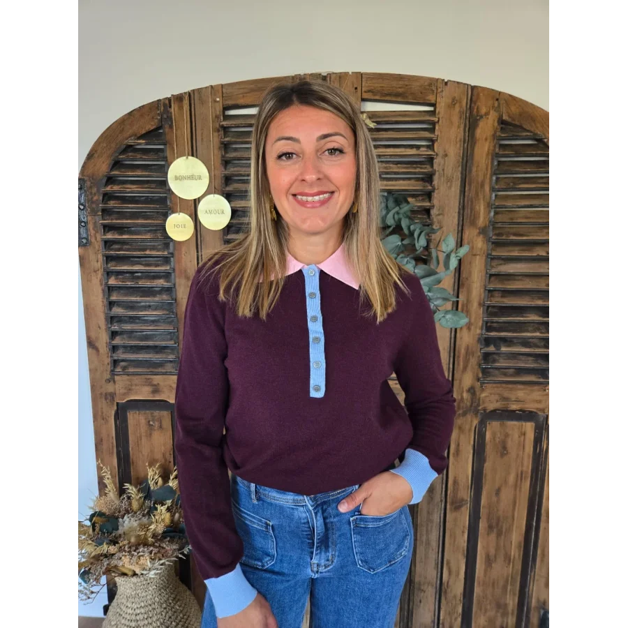 Pull Denis bordeaux col polo