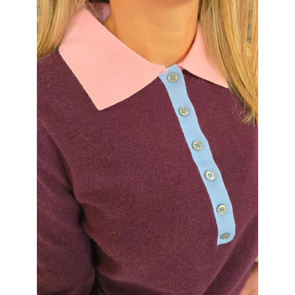 Pull Denis bordeaux col polo