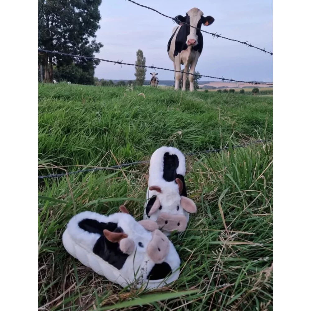 category_name | Elly et Anne