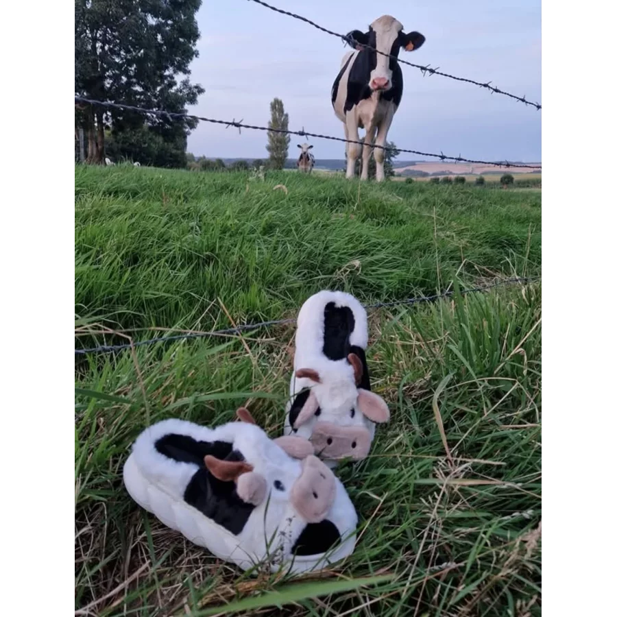 category_name | Elly et Anne