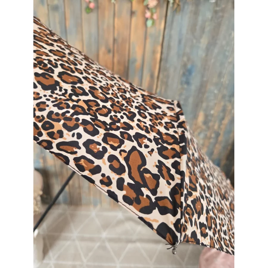 category_name | Elly et Anne