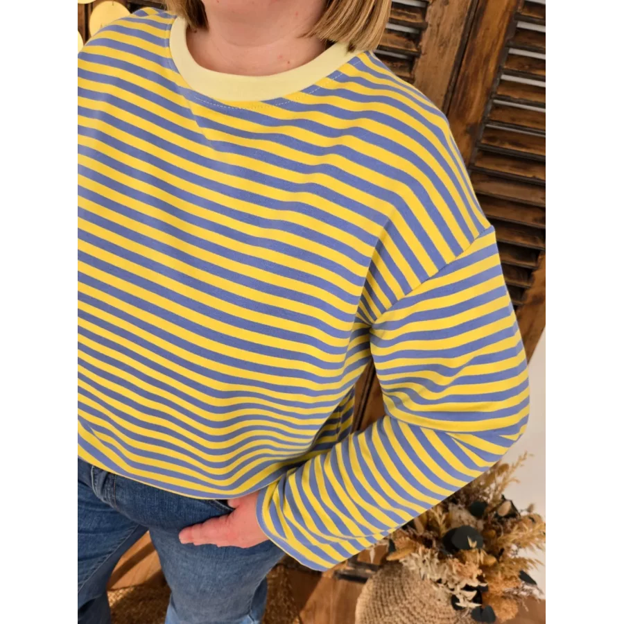 Sweat fin Germain rayé bleu et jaune