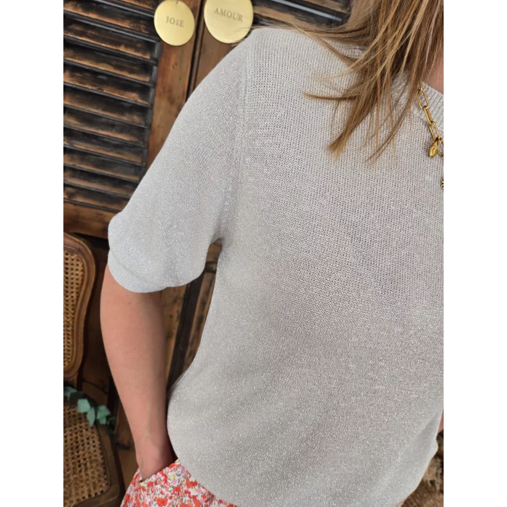 Pull fin Gregory lurex beige