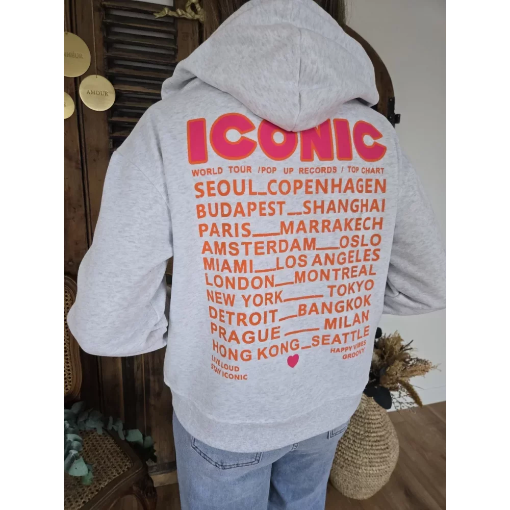 Sweat zip capuche gris ICONIC