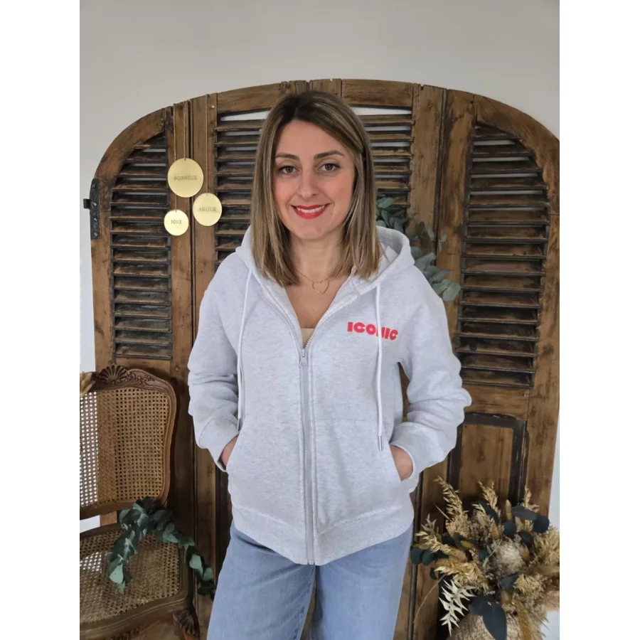 Sweat zip capuche gris ICONIC